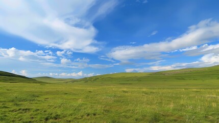 Fototapeta premium Enchanting Scenery of Lush Green Grassland under a Vast Blue Sky with Floating White Clouds: A Serene Natural Tapestry