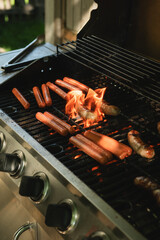 Grilling Hot Dogs and Sausages Over Open Flame