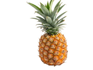 Fototapeta premium Fresh whole pineapple fruit isolated on transparent background