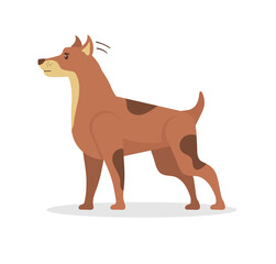 Funny puppy cartoon set. Vector dogs character collection with adorable dachshund, terrier, spaniel, and pug. Graphic design elements for pet icons, mascot illustrations, isolated art.

