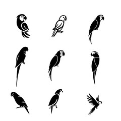 Parrot icon design vector image