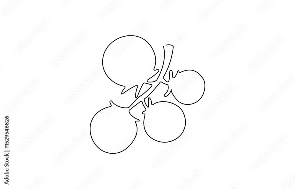 Poster tomato red continuous one line drawing set. outline tomato vegetable icon collections isolated on a 