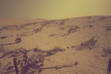 Skeletal remains scattered across sandy wasteland
