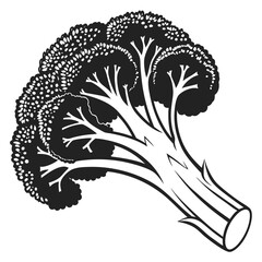 A monochrome broccoli head presents a detailed texture with bold lines and contrast