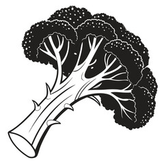 A monochromatic illustration of a fresh, raw broccoli floret displays simple botanical beauty