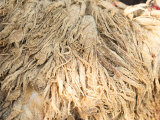 close up of goat skin. Local goat skin.