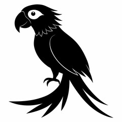 Vibrant macaw silhouette vector illustration on a clean white background perfect for various design applications