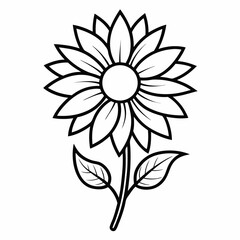 Black and white background