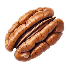 Detailed pecan , isolated on transparent background, png