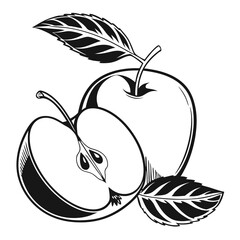 Monochrome depicts a cut apple and a whole apple with leaves, emphasizing their intricate details