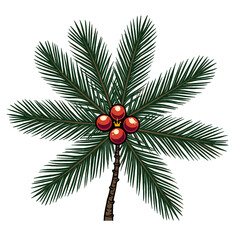 Pine tree branches with red ornaments for holiday decoration  