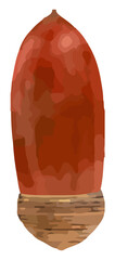 An acorn wearing a hat 2