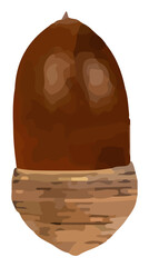 An acorn wearing a hat 3