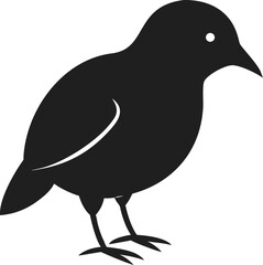 Obraz premium Kiwi bird silhouette unique flightless species known for its nocturnal habits and distinctive long beak