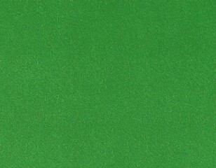 Fototapeta premium green leather texture