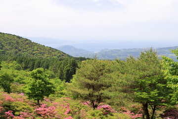 公園の展望所からの眺め