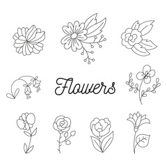 Flowers doodle set. Beautiful flower with hand drawn floral elements. Blossom botanical vector illustrations for decor, easter, print or textile design