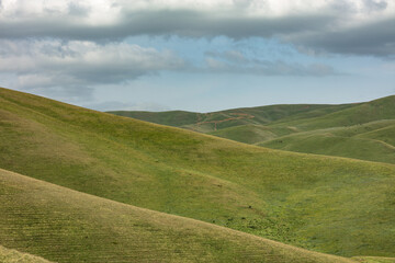 landscape with green grass and blue sky