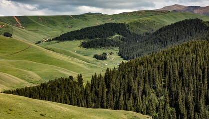Obraz premium vineyard in the mountains
