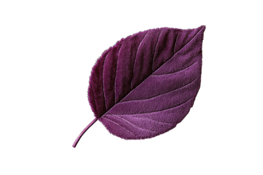 Close-up of a deep purple leaf