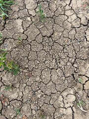dry cracked earth