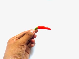 Red cayenne pepper (red cayenne pepper) isolated on white background. Cayenne pepper is held in hand.