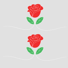 Rose flower, red rose isolated, dark red rose with green leaves