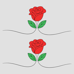 Rose flower, red rose isolated, dark red rose with green leaves
