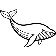 Blue Whale line line art vector