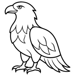 Obraz premium a eagle