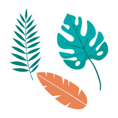 Tropical Leaves Flat Vector Illustration