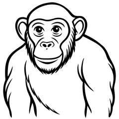 Bobcat line art vector