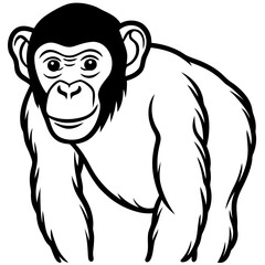 Bobcat line art vector