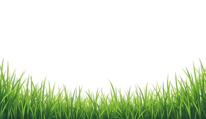 Obraz premium Grass border on down with white background.