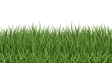 Fototapeta premium Green grass PNG file.
