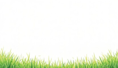 Grass border on down with white background.