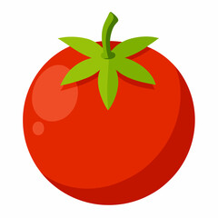 Simple Tomato Vector on White Background
