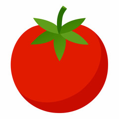 Simple Tomato Vector on White Background