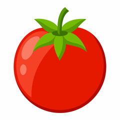 Simple Tomato Vector on White Background