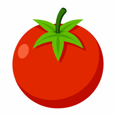 Simple Tomato Vector on White Background