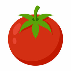 Simple Tomato Vector on White Background