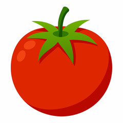 Simple Tomato Vector on White Background