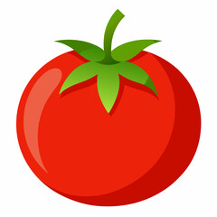 Simple Tomato Vector on White Background