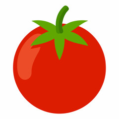 Simple Tomato Vector on White Background
