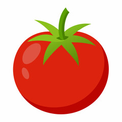 Simple Tomato Vector on White Background