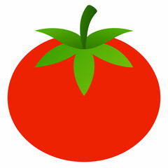 Simple Tomato Vector on White Background