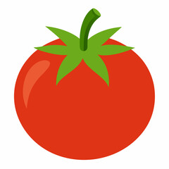 Simple Tomato Vector on White Background