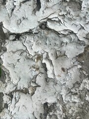 old cracked wall