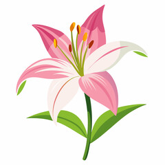 Naklejka premium Elegant lily illustration on a clean white background perfect for spring nature and botanical designs