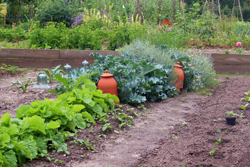 Vegetable, flower and empty garden beds with glass and terracotta planting bells (Gelderland, Netherlands)